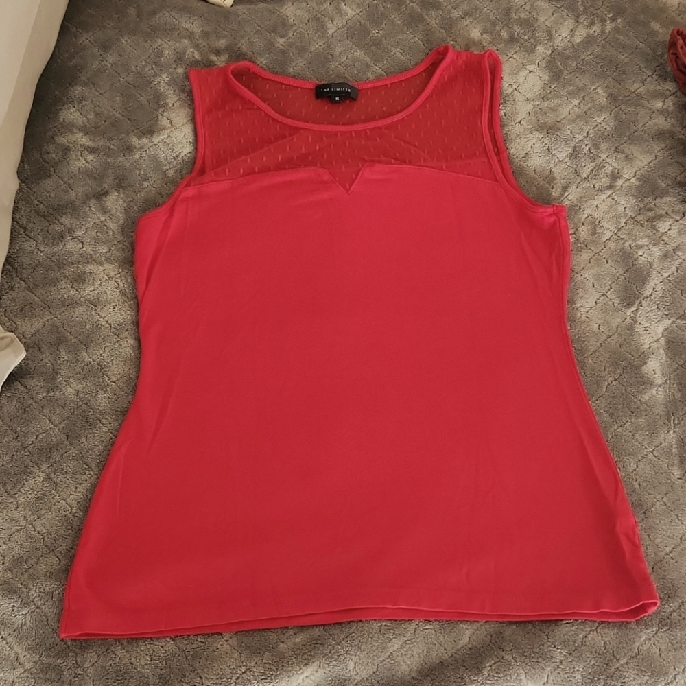 Sheer and solid women's blouse